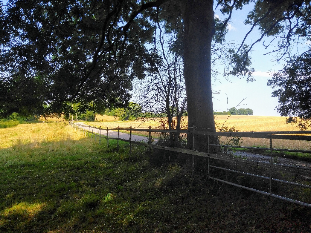 Ausblick 08.2021
