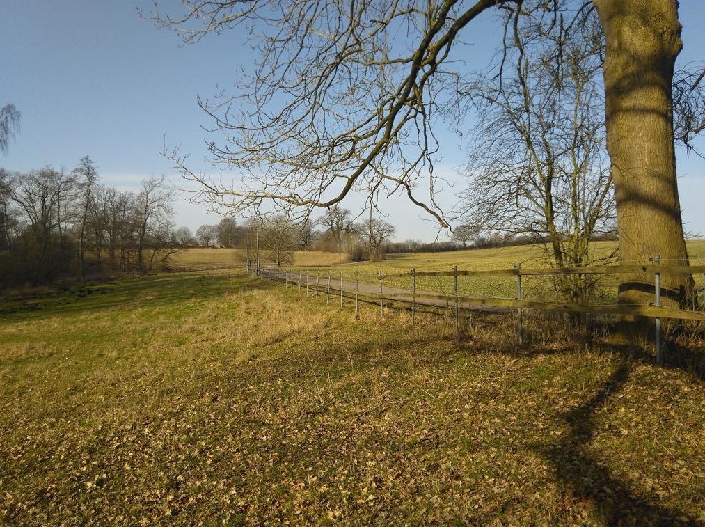 Spätherbst erster Schnee